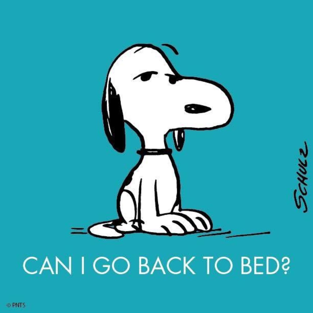 Meet your Posher, Yvonne